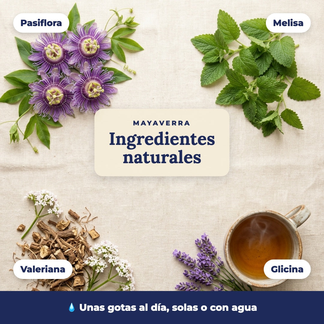 Noche Completa MAYAVERRA - ingredientes